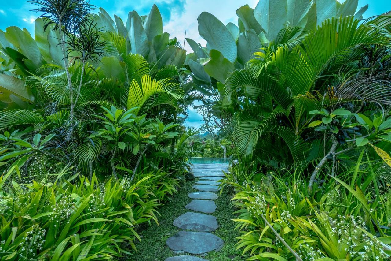 Malaya Villas Ubud Теґалаланґ Екстер'єр фото